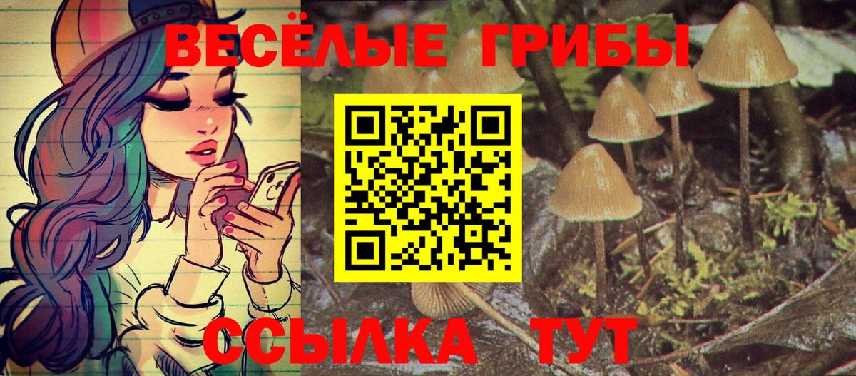Артём  Галлюциногенные грибы Magic Shrooms  Вход с VPN  Галлюциногенные грибы ЛСД 