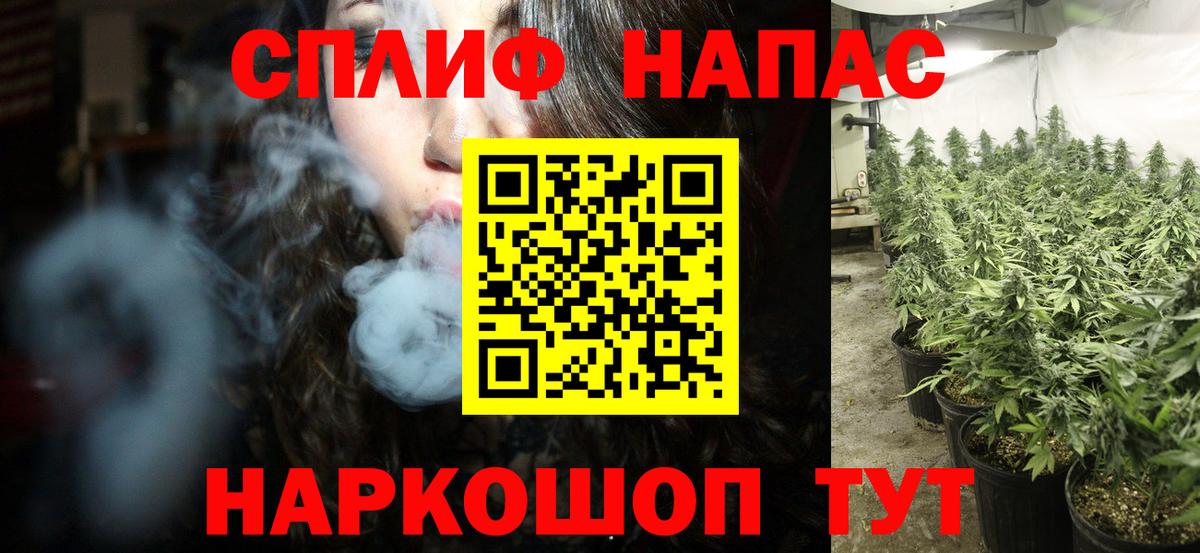 Артём  Бошки марихуана OG Kush  Бошки марихуана Amnesia  Шишки марихуана планчик  Вход с VPN 